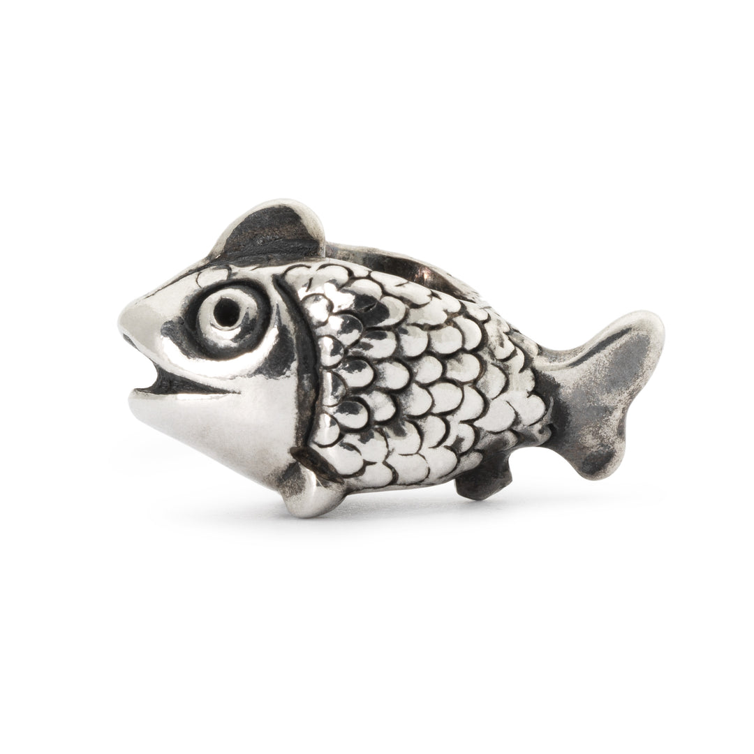 Jewel Fairy Basslet Bead
