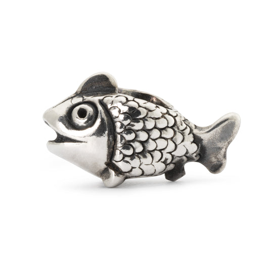 Jewel Fairy Basslet Bead