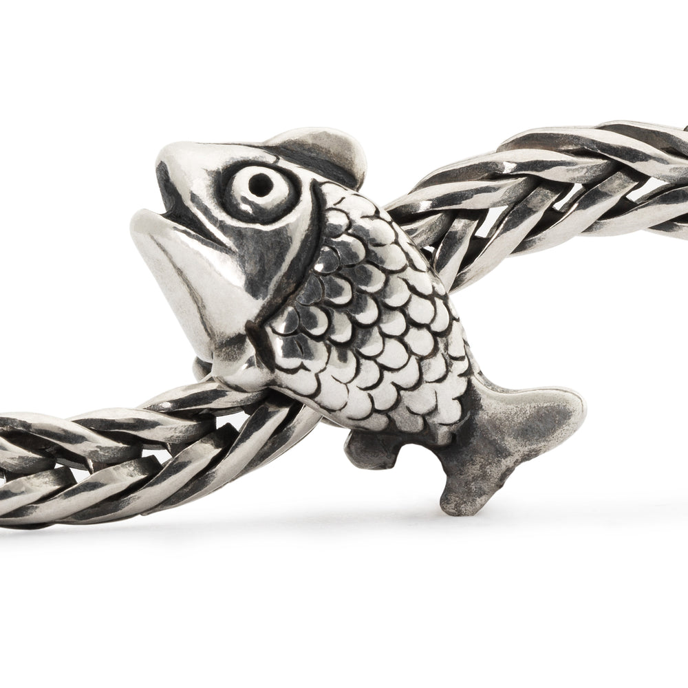 Jewel Fairy Basslet Bead