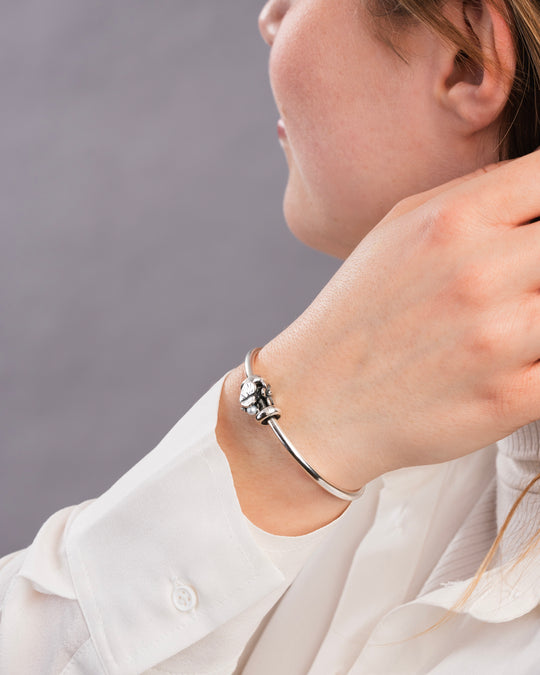 Violet of February Bangle by Trollbeads. Bangle.