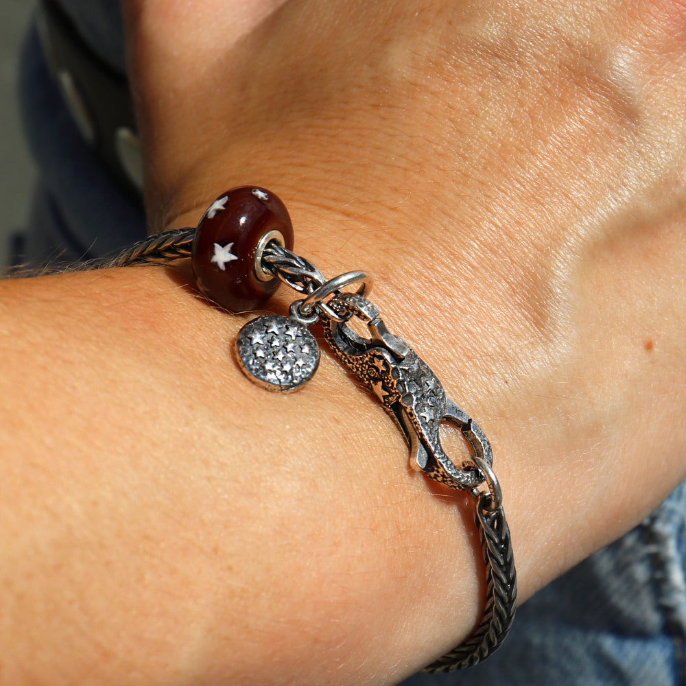 Chiusura Pan di Stelle