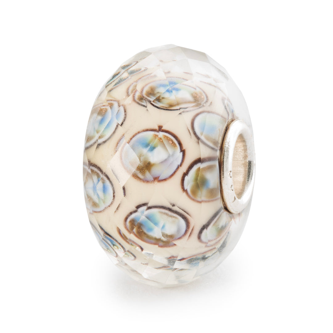 Care and Attention Garden Kit by Trollbeads. Bead kits.