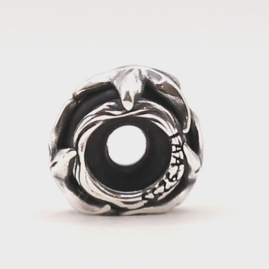 Starfish Moments Spacer