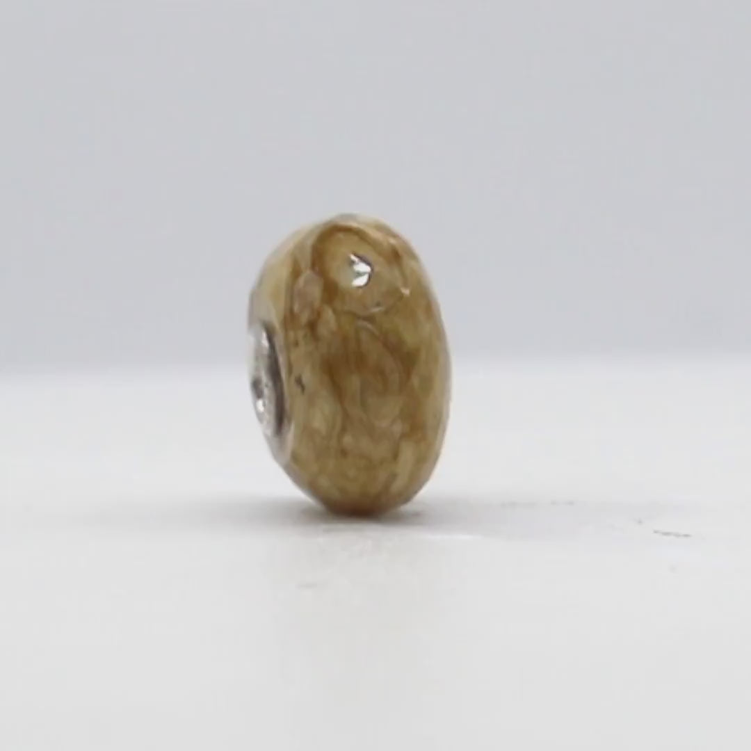 Fossilised Wood Bead