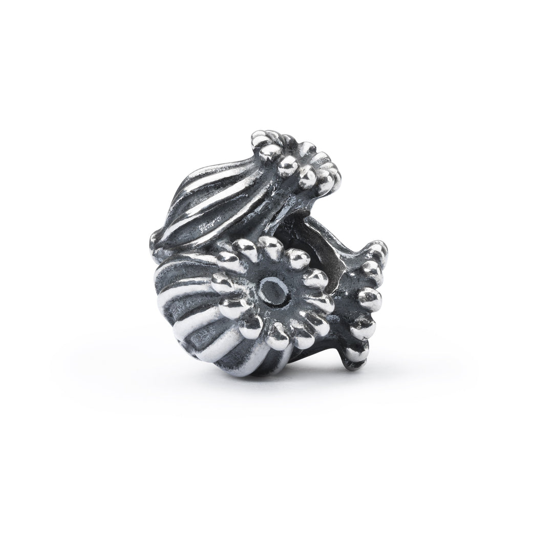Shelter Bead